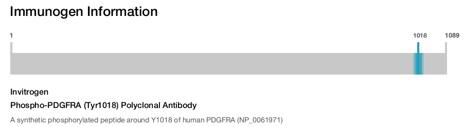 Phospho-PDGFRA (Tyr1018) Polyclonal Antibody