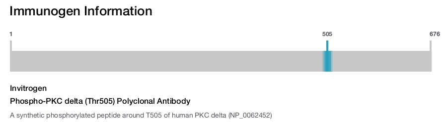 Phospho-PKC delta (Thr505) Polyclonal Antibody
