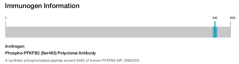 Phospho-PFKFB2 (Ser483) Polyclonal Antibody