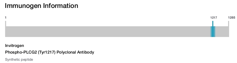 Phospho-PLCG2 (Tyr1217) Polyclonal Antibody