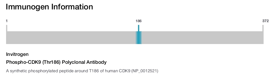 Phospho-CDK9 (Thr186) Polyclonal Antibody