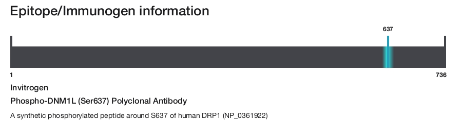 Phospho-DNM1L (Ser637) Polyclonal Antibody