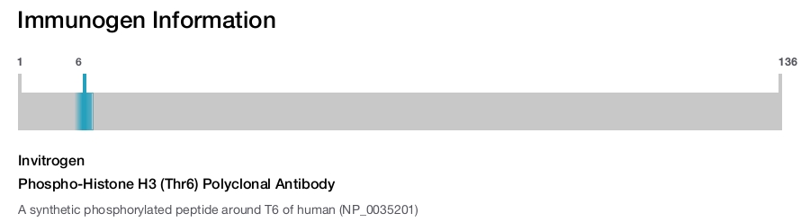 Phospho-Histone H3 (Thr6) Polyclonal Antibody