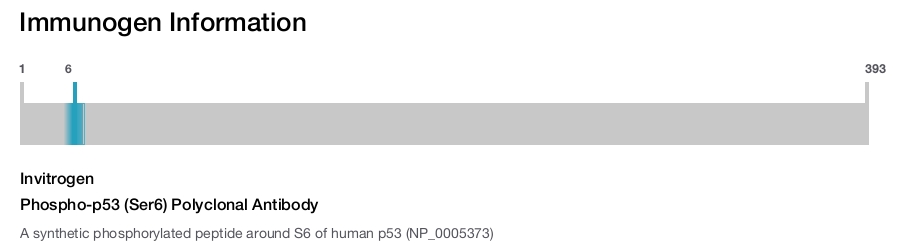 Phospho-p53 (Ser6) Polyclonal Antibody
