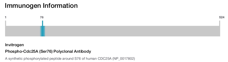 Phospho-Cdc25A (Ser76) Polyclonal Antibody