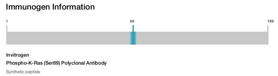 Phospho-K-Ras (Ser89) Polyclonal Antibody