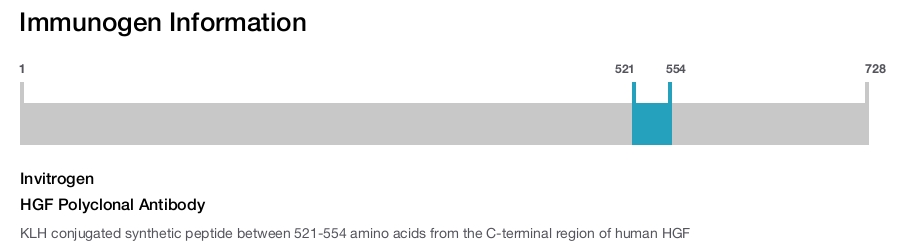 HGF Polyclonal Antibody