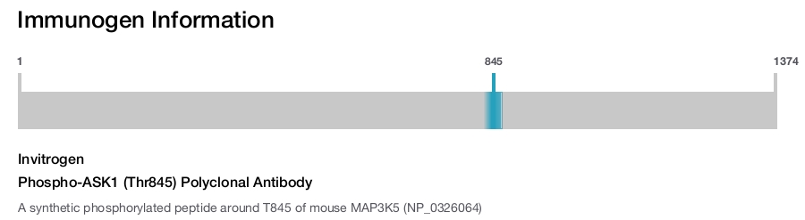 Phospho-ASK1 (Thr845) Polyclonal Antibody