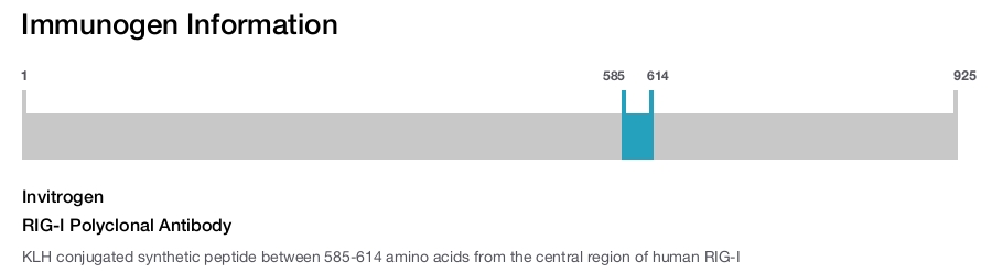 RIG-I Polyclonal Antibody