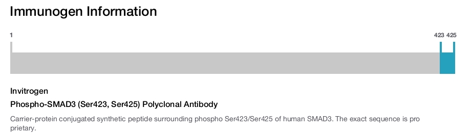 Phospho-SMAD3 (Ser423, Ser425) Polyclonal Antibody
