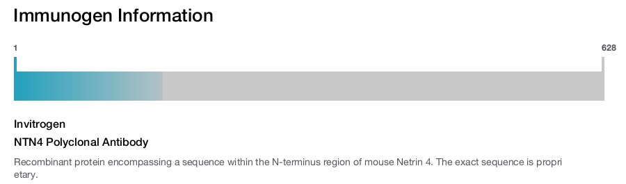 NTN4 Polyclonal Antibody
