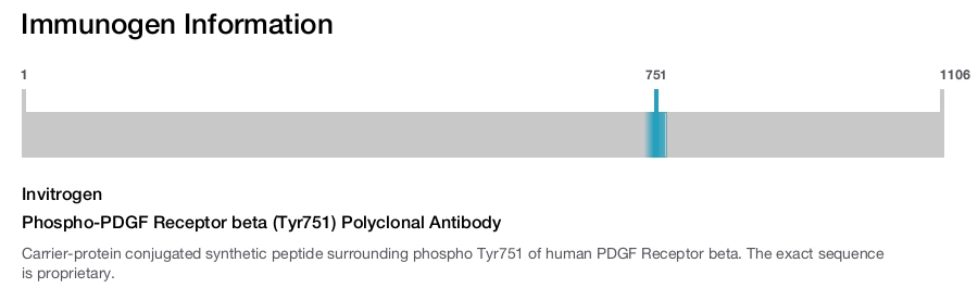 Phospho-PDGF Receptor beta (Tyr751) Polyclonal Antibody