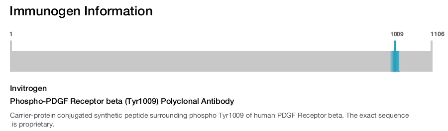 Phospho-PDGF Receptor beta (Tyr1009) Polyclonal Antibody