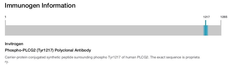 Phospho-PLCG2 (Tyr1217) Polyclonal Antibody