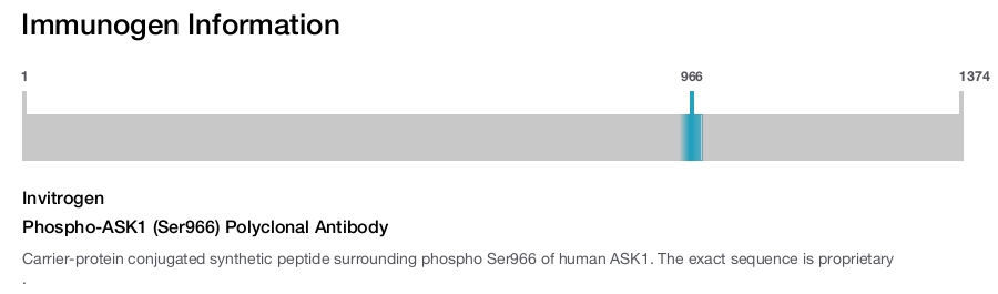 Phospho-ASK1 (Ser966) Polyclonal Antibody