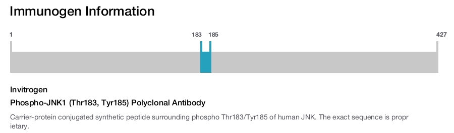 Phospho-JNK1 (Thr183, Tyr185) Polyclonal Antibody