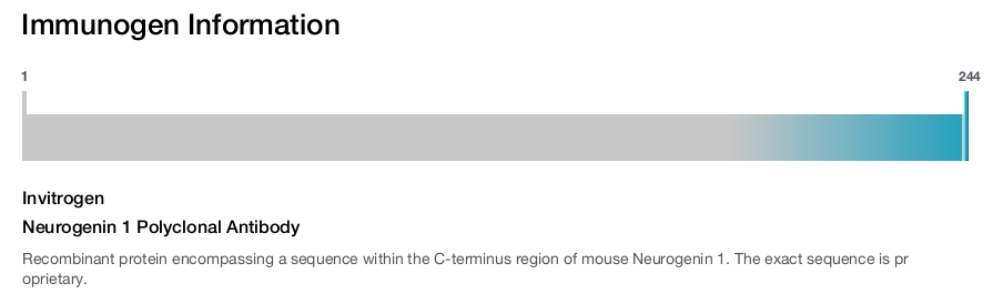 Neurogenin 1 Polyclonal Antibody
