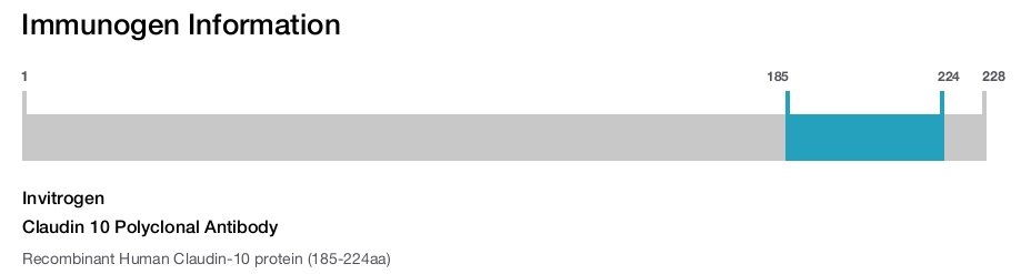 Claudin 10 Polyclonal Antibody