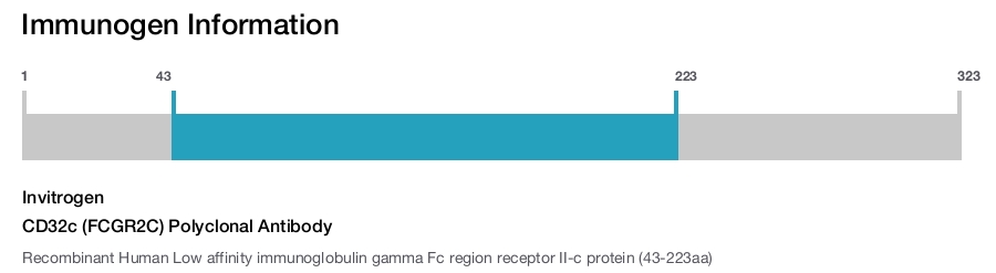 CD32c (FCGR2C) Polyclonal Antibody