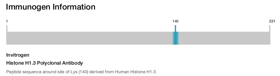 Histone H1.3 Polyclonal Antibody