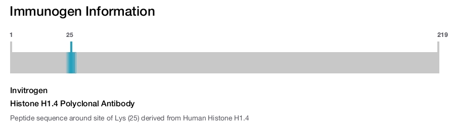 Histone H1.4 Polyclonal Antibody