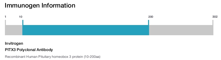 PITX3 Polyclonal Antibody