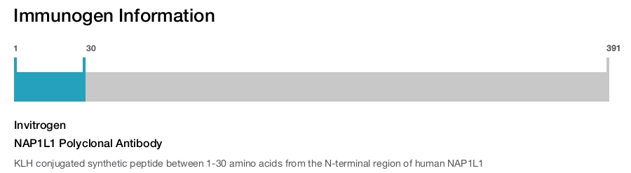 NAP1L1 Polyclonal Antibody