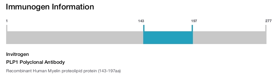 PLP1 Polyclonal Antibody