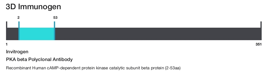PKA beta Polyclonal Antibody