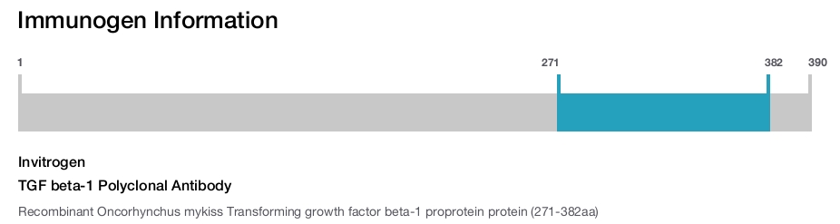 TGF beta-1 Polyclonal Antibody