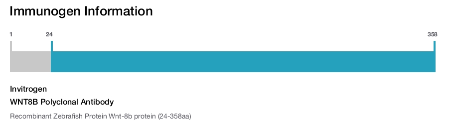 WNT8B Polyclonal Antibody