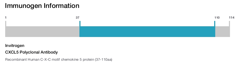 CXCL5 Polyclonal Antibody