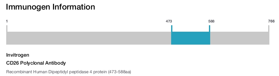 CD26 Polyclonal Antibody
