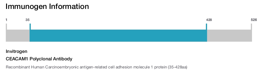 CEACAM1 Polyclonal Antibody