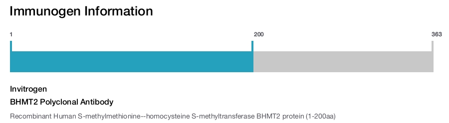 BHMT2 Polyclonal Antibody