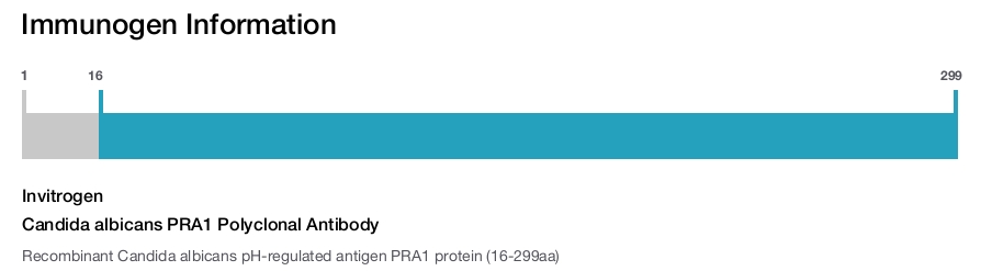 Candida albicans PRA1 Polyclonal Antibody