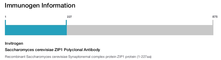 Saccharomyces cerevisiae ZIP1 Polyclonal Antibody