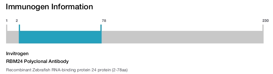 RBM24 Polyclonal Antibody
