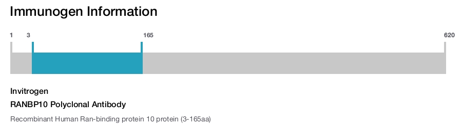 RANBP10 Polyclonal Antibody