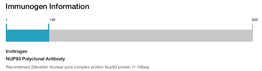 NUP93 Polyclonal Antibody
