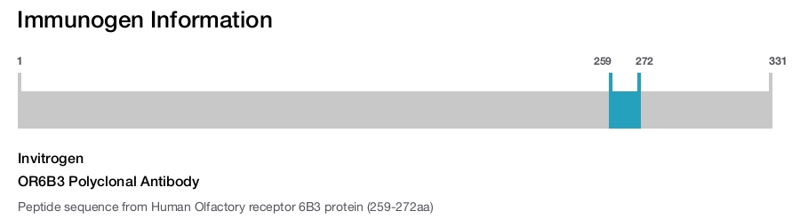 OR6B3 Polyclonal Antibody
