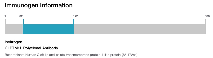 CLPTM1L Polyclonal Antibody