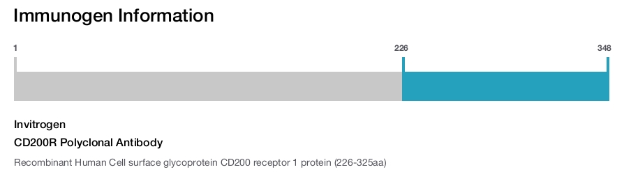 CD200R Polyclonal Antibody