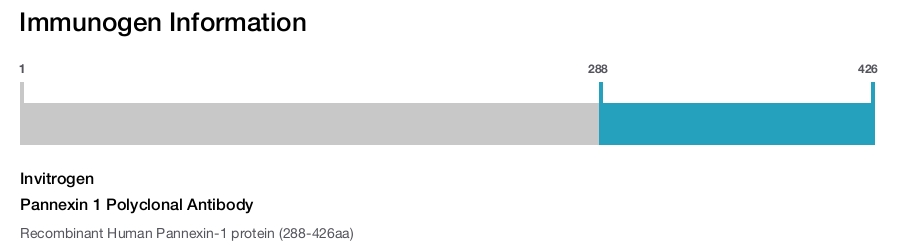 Pannexin 1 Polyclonal Antibody
