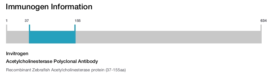 Acetylcholinesterase Polyclonal Antibody