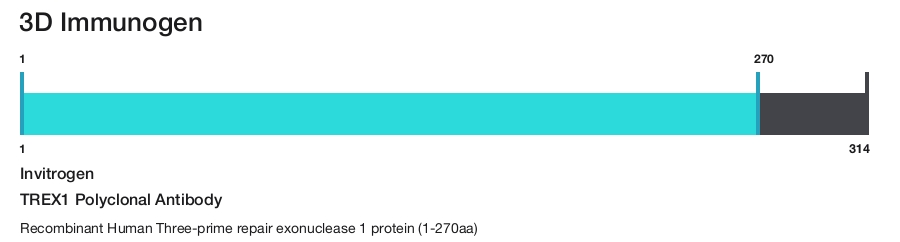 TREX1 Polyclonal Antibody