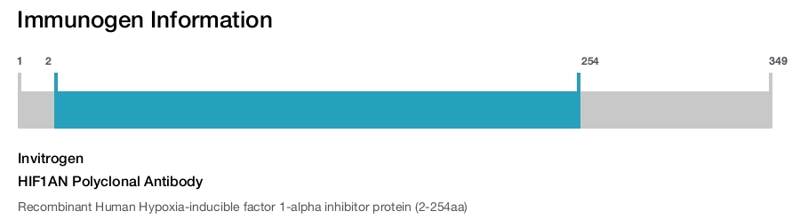 HIF1AN Polyclonal Antibody