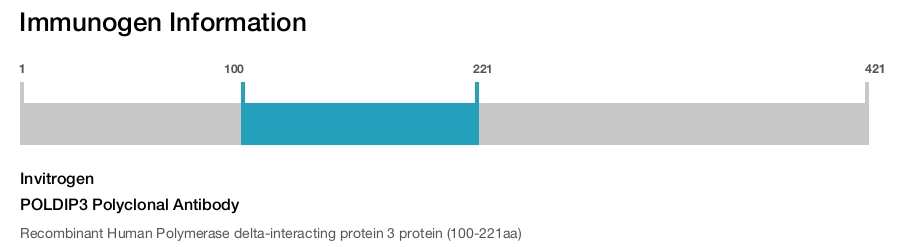 POLDIP3 Polyclonal Antibody