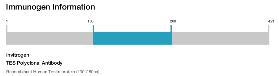 TES Polyclonal Antibody