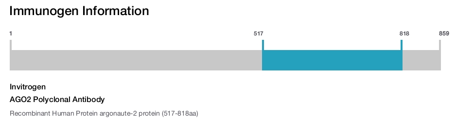 AGO2 Polyclonal Antibody